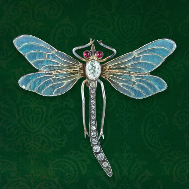 Victorian Enamel Dragonfly Brooch – Laurelle Antique Jewellery