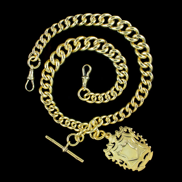 Antique Edwardian Albert Chain With Medallion Silver 18ct Gold Gilt 