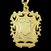 Antique Edwardian Albert Chain With Medallion Silver 18ct Gold Gilt 