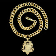 Antique Edwardian Albert Chain Necklace Silver 18ct Gold Gilt With Medallion