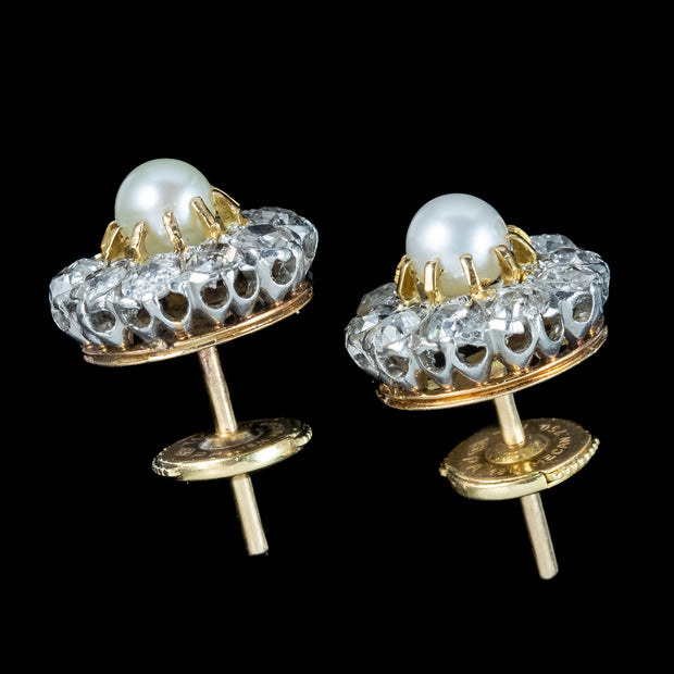 Antique Edwardian French Pearl Diamond Flower Stud Earrings 2ct Of Diamond