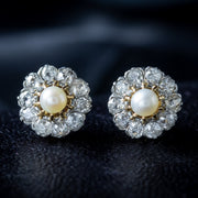 Antique Edwardian French Pearl Diamond Flower Stud Earrings 2ct Of Diamond