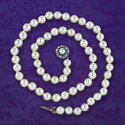 Antique Edwardian Pearl Necklace With Georgian Diamond Clasp