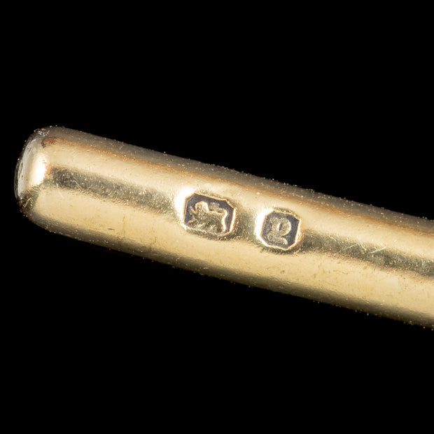 Antique Victorian Albert Chain Silver 18ct Gold Gilt Dated 1886