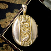 Antique Victorian Bird Nest Ivy Locket 9ct Gold