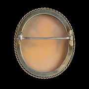Antique Victorian Cameo Brooch Bullmouth Shell