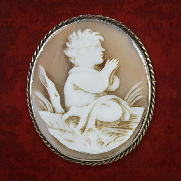 Antique Victorian Cameo Brooch Bullmouth Shell