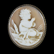 Antique Victorian Cameo Brooch Bullmouth Shell
