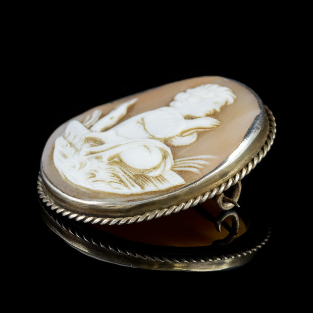 Antique Victorian Cameo Brooch Bullmouth Shell