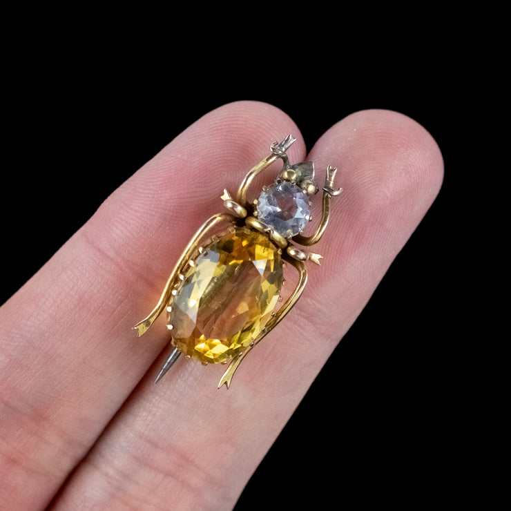 Antique Victorian Citrine Amethyst Beetle Brooch 9ct Gold 