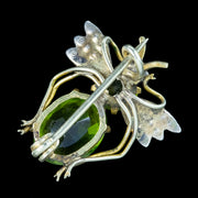 Antique Victorian Green Paste Pearl Insect Brooch 