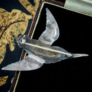 Antique Victorian Guilloche Enamel Kingfisher Brooch Silver