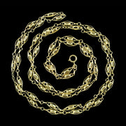 Antique Victorian Long Guard Chain Silver 18ct Gold Gilt 