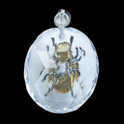 Antique Victorian Scarab Pendant Rock Crystal Citrine Beetle 
