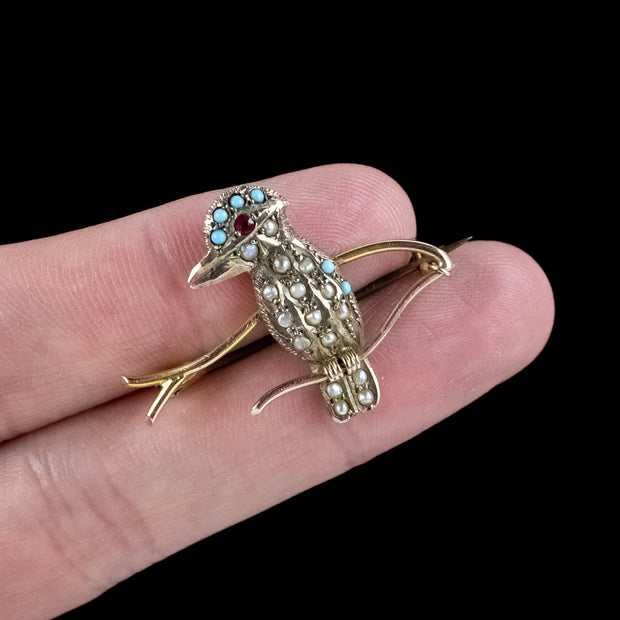 Antique Victorian Turquoise Pearl Kookaburra Brooch 9ct Gold 