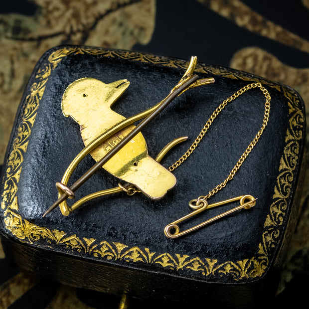 Antique Victorian Turquoise Pearl Kookaburra Brooch 9ct Gold 