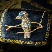 Antique Victorian Turquoise Pearl Kookaburra Brooch 9ct Gold 