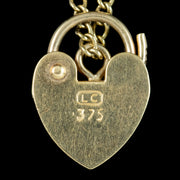 Vintage Enamel Charm Bracelet 9ct Gold With Heart Padlock
