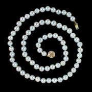 Vintage Pearl Matinee Necklace 14ct Gold Clasp