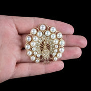 Vintage Pearl Peacock Brooch 14ct Gold