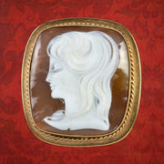 Vintage Bullmouth Shell Cameo Portrait Brooch 9Ct Gold Dated 1965