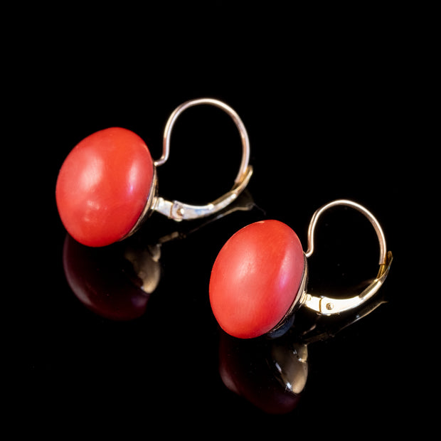 Antique Victorian Coral Earrings 18ct Gold Circa 1880