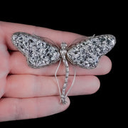 Antique Victorian Scottish Dragonfly Brooch Silver Circa 1880