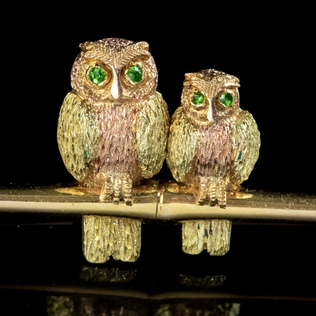 Antique Edwardian Owl Brooch 15Ct Gold Green Garnet Eyes Circa 1902