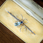 Antique Edwardian Spider Brooch Platinum Sapphire Aquamarine Scottish Boxed