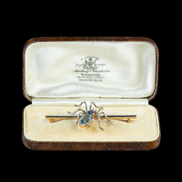 Antique Edwardian Spider Brooch Platinum Sapphire Aquamarine Scottish Boxed