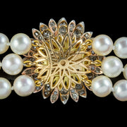 Antique Edwardian Triple Pearl Necklace 3Ct Diamond Flower Clasp Silver 18Ct Gold Circa 1905