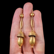 Antique Victorian Acorn Drop Earrings Etruscan Revival 18Ct Gold Circa 1860