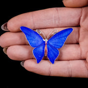 Antique Edwardian Blue Enamel Butterfly Brooch Sterling Silver Circa 1915