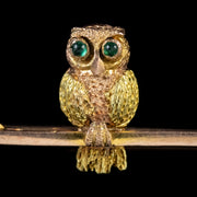 Antique Victorian Boxed Owl Brooch 9Ct Gold Circa 1900