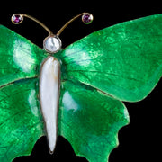 Antique Victorian Butterfly Brooch Green Enamel Ruby Pearl Circa 1890
