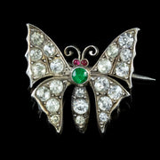 Antique Victorian Butterfly Paste Brooch Silver Circa 1880