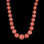 Antique Victorian Coral Bead Necklace Circa 1900