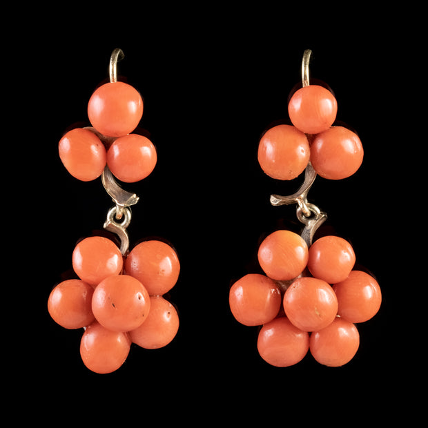 Antique Victorian Coral Drop Earrings 18Ct Gold Circa 1900