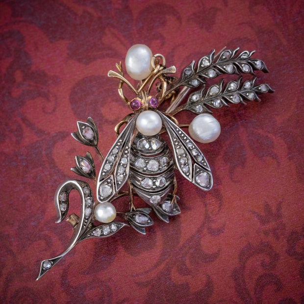 Antique Victorian Diamond Pearl Insect Brooch 2Ct Of Diamond With Box