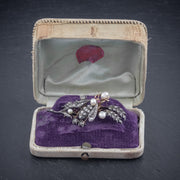 Antique Victorian Diamond Pearl Insect Brooch 2Ct Of Diamond With Box