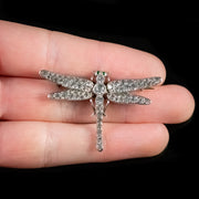Antique Victorian Dragonfly Paste Brooch Sterling Silver Circa 1880