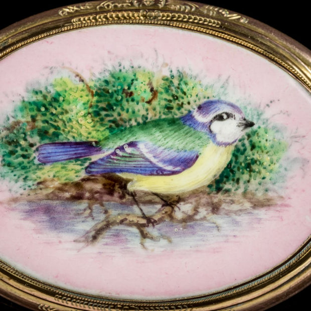 Antique Victorian Hand Painted Blue Tit Brooch Gold Gilt