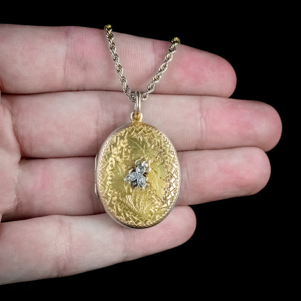 Antique Victorian Locket Necklace Diamond Insect 18Ct Gold Chain Circa 1880