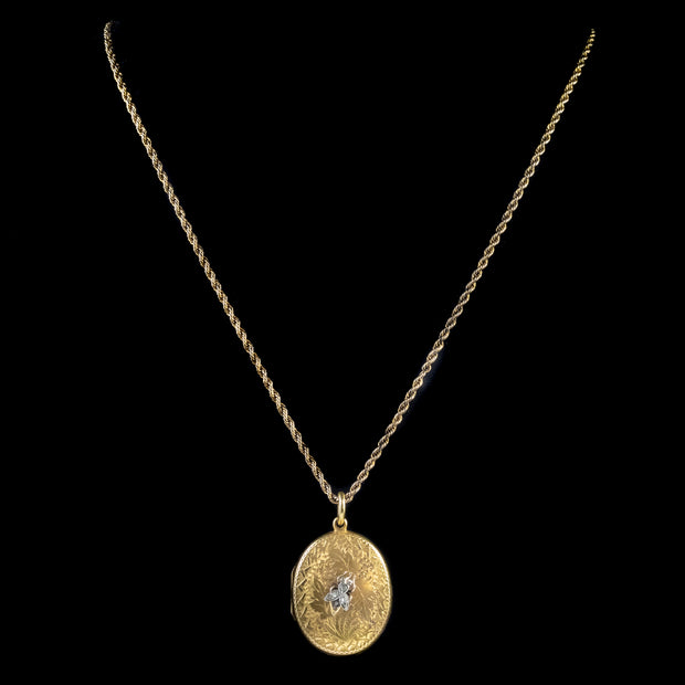 Antique Victorian Locket Necklace Diamond Insect 18Ct Gold Chain Circa 1880