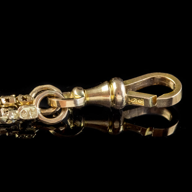 Antique Victorian Long Guard Snake Chain 9Ct Gold Circa 1900
