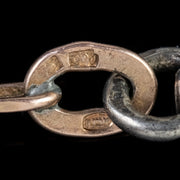 Antique Victorian Niello Guard Chain Silver Gold Gilt Circa 1900
