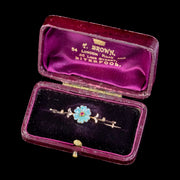 Antique Victorian Opal Ruby Flower Brooch 9ct Gold Circa 1900 Boxed