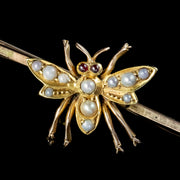 Antique Victorian Pearl Insect Bar Brooch Ruby Eyes 15Ct Gold Circa 1880