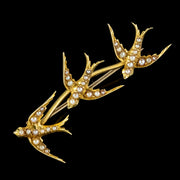 Antique Victorian Pearl Swallows Brooch 15Ct Gold Circa 1900