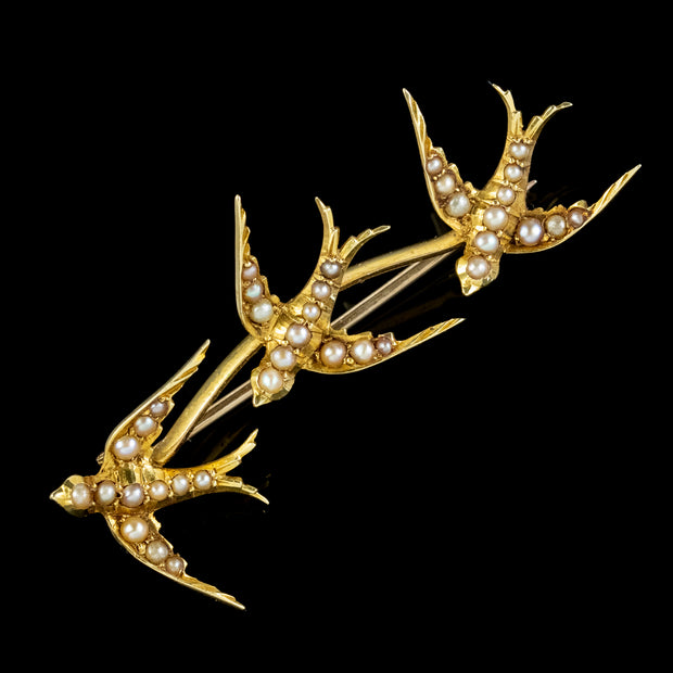 Antique Victorian Pearl Swallows Brooch 15Ct Gold Circa 1900